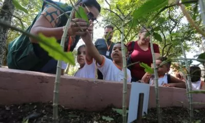 Semana--do-Meio-ambiente