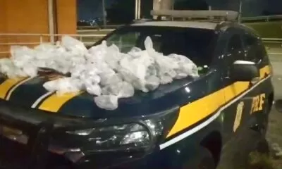 drogas-policiafederal