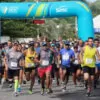 Circuito-Sesc