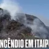 incedio-andorinhas