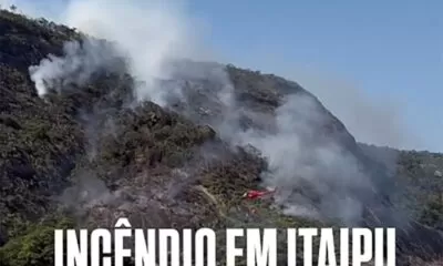 incedio-andorinhas
