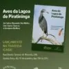 aves_piratininga_icarai