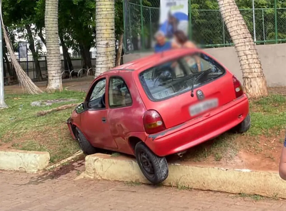 atropelamento