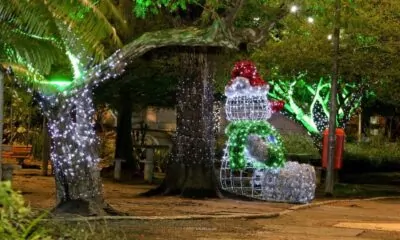 NATAL-7